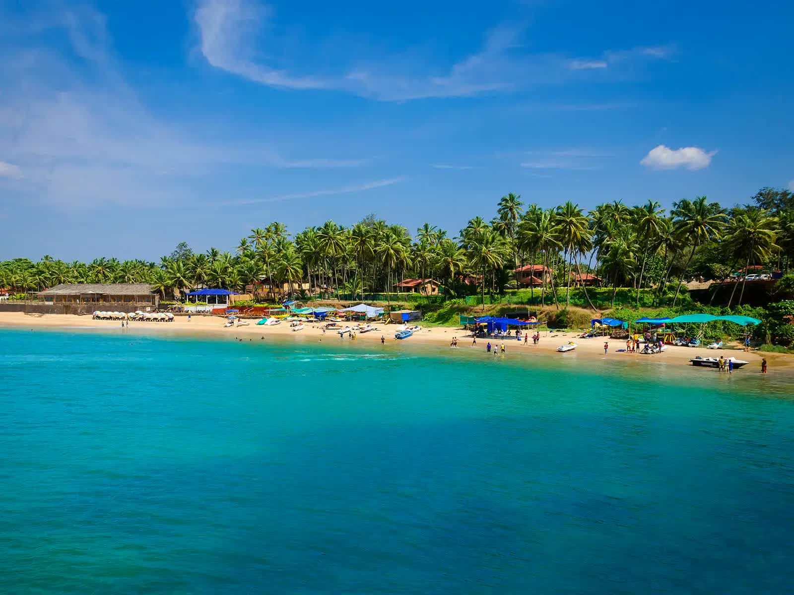 Palm-lined beach coastline in North Goa at golden hour